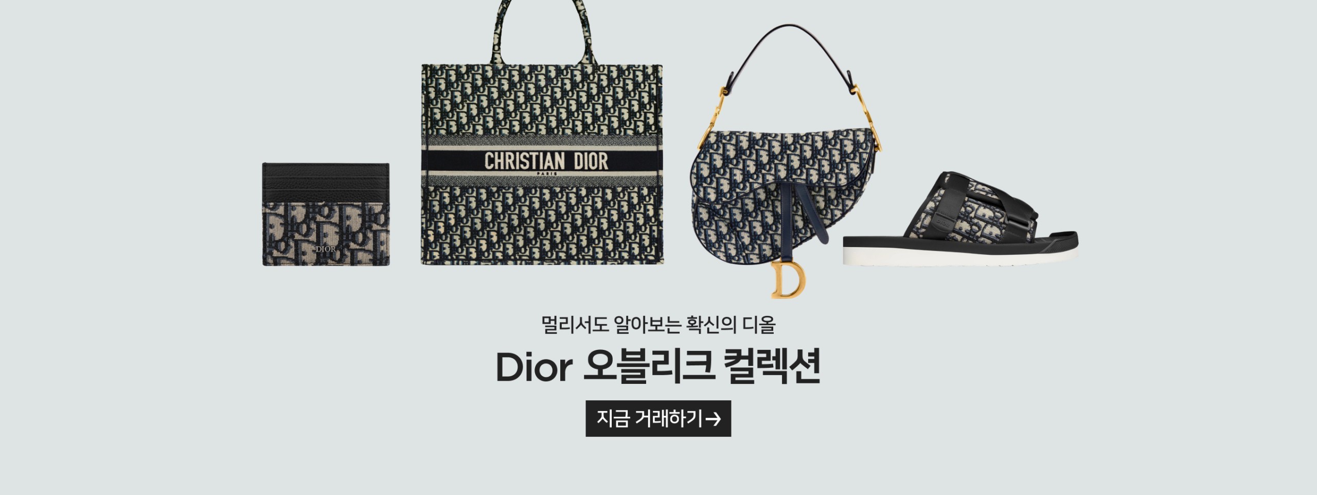 Dior 오블리크 컬렉션